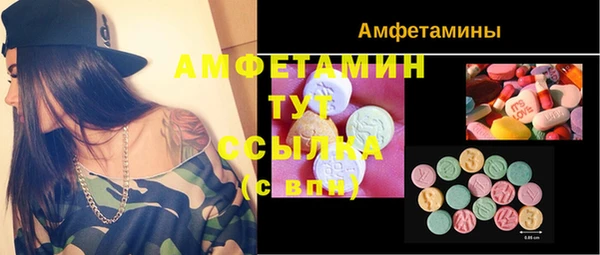 эйфоретик Бородино