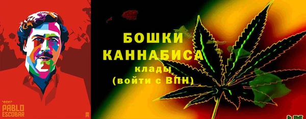 сатива Бронницы