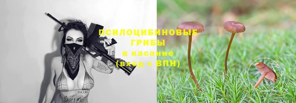 соль ск Бугульма