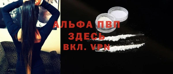 сатива Бронницы