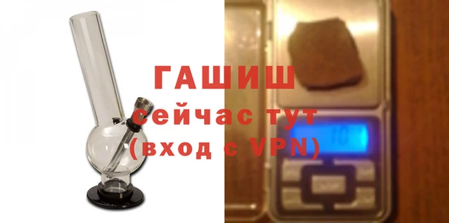 эйфоретик Бородино