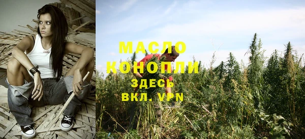 эйфоретик Бородино