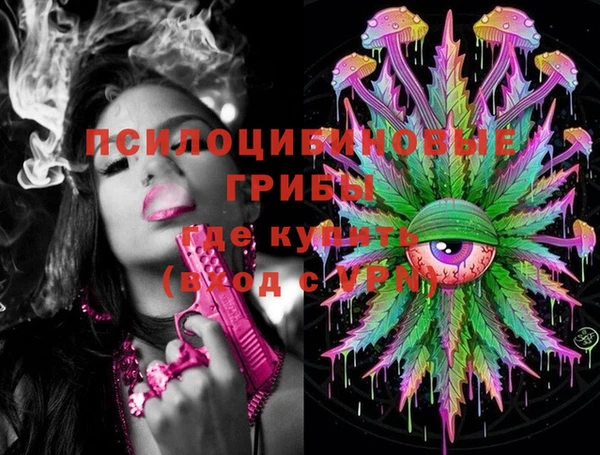 эйфоретик Бородино