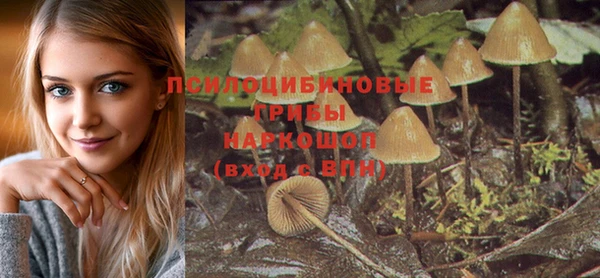 сатива Бронницы