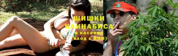 эйфоретик Бородино