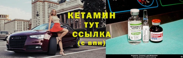сатива Бронницы