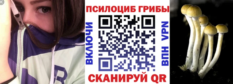 Псилоцибиновые грибы Psilocybe  кракен ONION  Вилючинск 