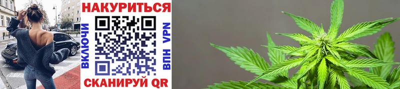 Бошки Шишки конопля  KRAKEN ONION  Вилючинск 